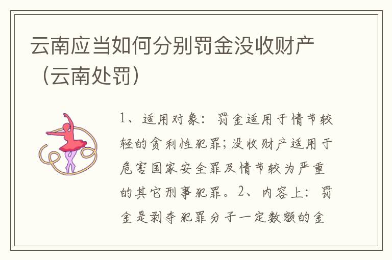 云南应当如何分别罚金没收财产（云南处罚）