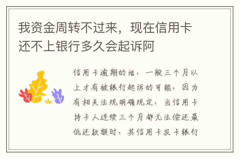 我资金周转不过来，现在信用卡还不上银行多久会起诉阿
