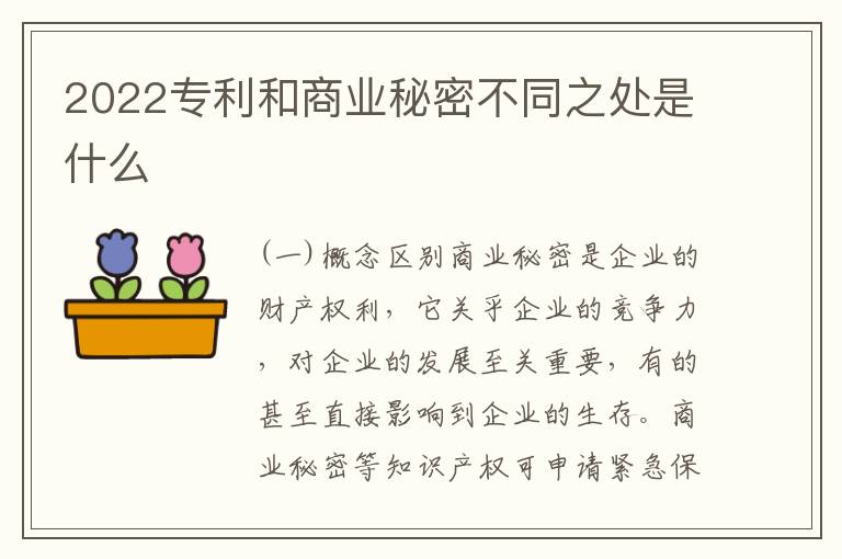 2022专利和商业秘密不同之处是什么