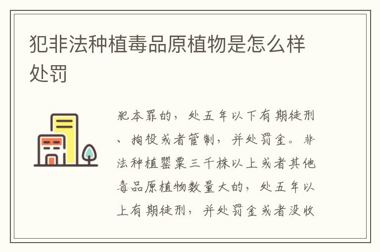 犯非法种植毒品原植物是怎么样处罚