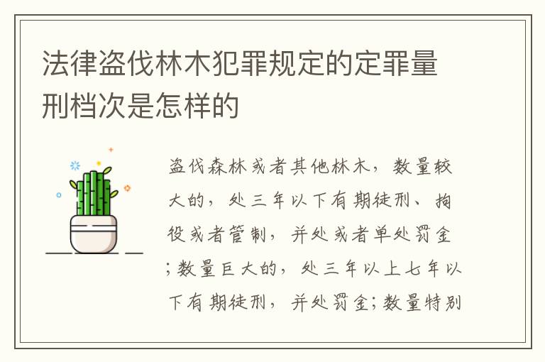 法律盗伐林木犯罪规定的定罪量刑档次是怎样的