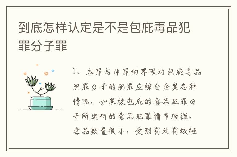 到底怎样认定是不是包庇毒品犯罪分子罪