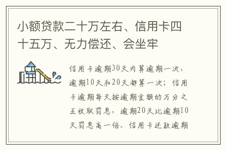 小额贷款二十万左右、信用卡四十五万、无力偿还、会坐牢