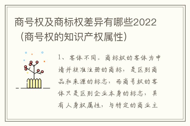 商号权及商标权差异有哪些2022（商号权的知识产权属性）