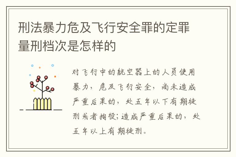 刑法暴力危及飞行安全罪的定罪量刑档次是怎样的
