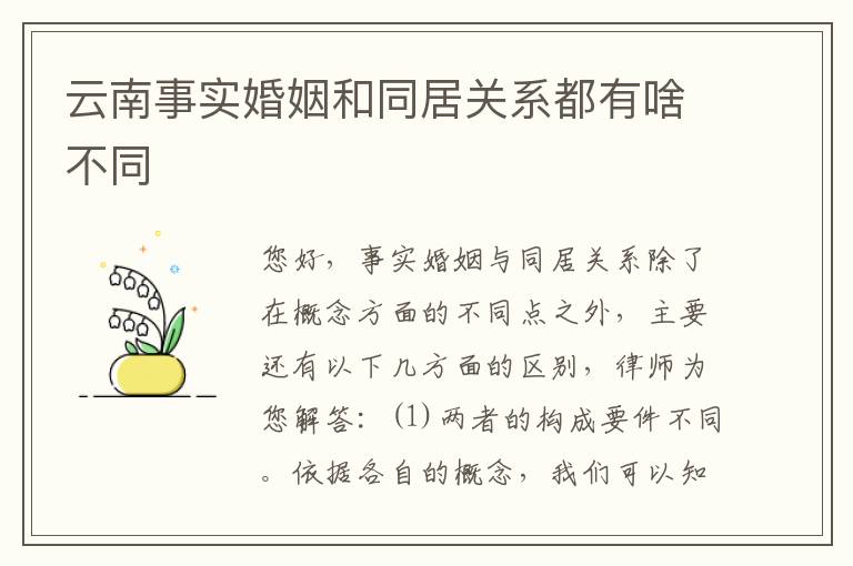 云南事实婚姻和同居关系都有啥不同