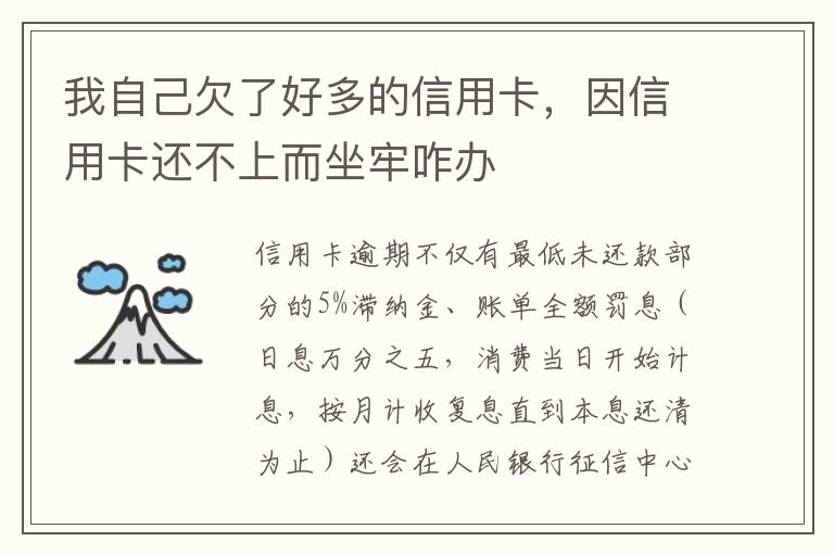 我自己欠了好多的信用卡，因信用卡还不上而坐牢咋办