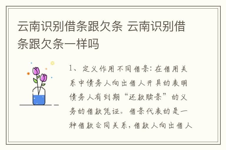 云南识别借条跟欠条 云南识别借条跟欠条一样吗