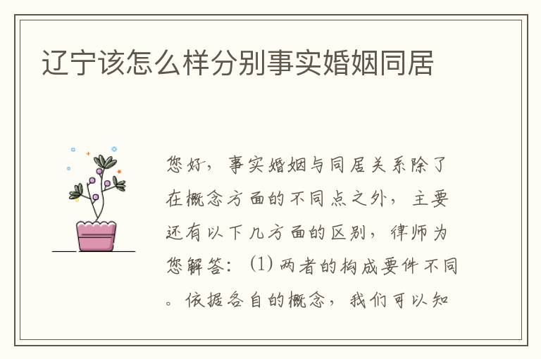 辽宁该怎么样分别事实婚姻同居