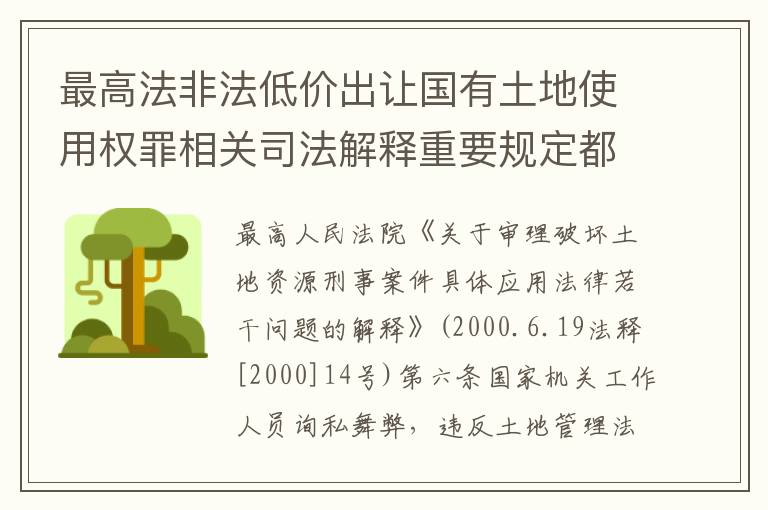 最高法非法低价出让国有土地使用权罪相关司法解释重要规定都有哪些
