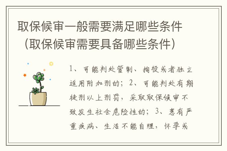 取保候审一般需要满足哪些条件（取保候审需要具备哪些条件）