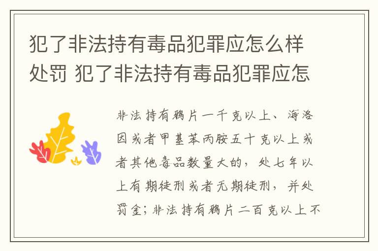 犯了非法持有毒品犯罪应怎么样处罚 犯了非法持有毒品犯罪应怎么样处罚呢