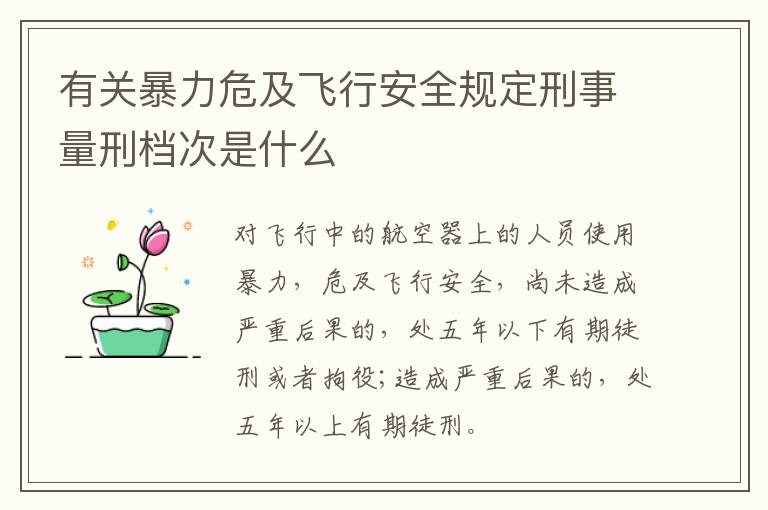 有关暴力危及飞行安全规定刑事量刑档次是什么