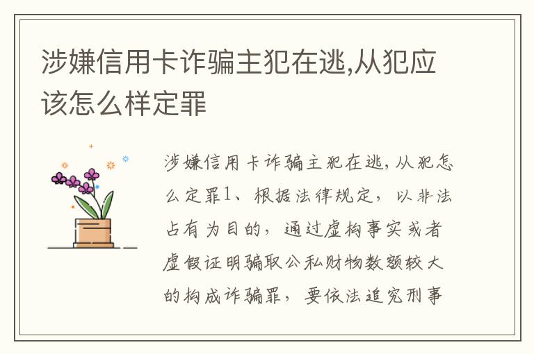 涉嫌信用卡诈骗主犯在逃,从犯应该怎么样定罪