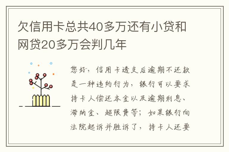 欠信用卡总共40多万还有小贷和网贷20多万会判几年