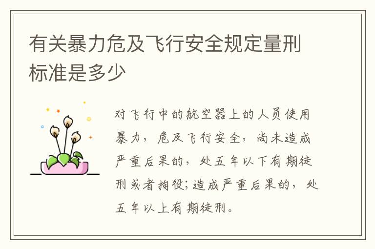 有关暴力危及飞行安全规定量刑标准是多少