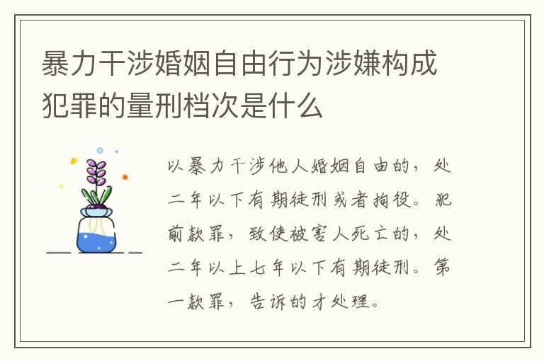 暴力干涉婚姻自由行为涉嫌构成犯罪的量刑档次是什么