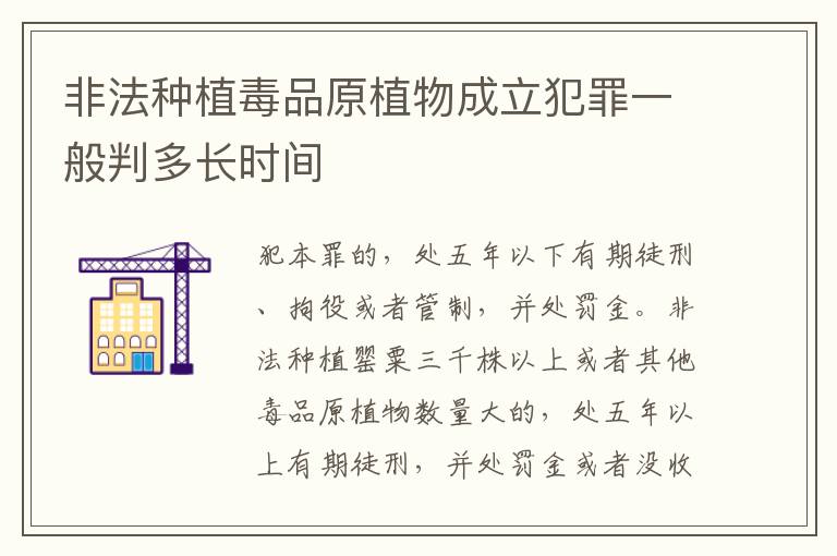 非法种植毒品原植物成立犯罪一般判多长时间