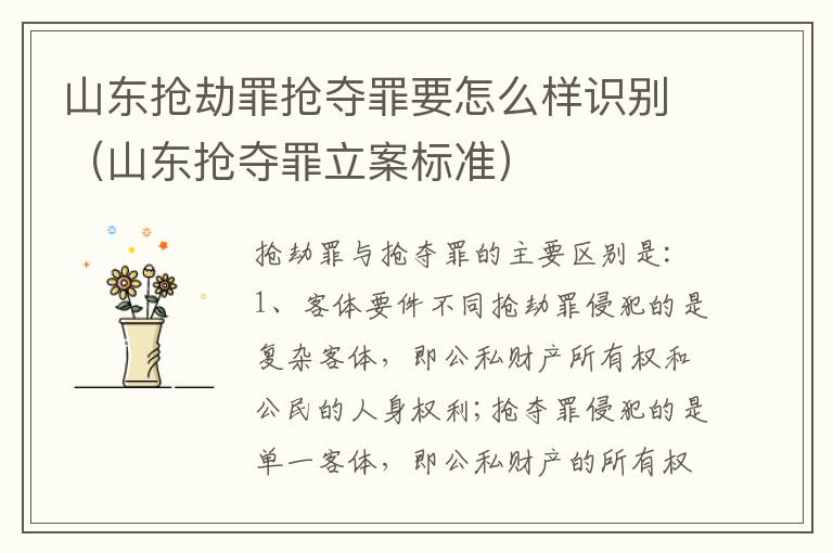 山东抢劫罪抢夺罪要怎么样识别（山东抢夺罪立案标准）