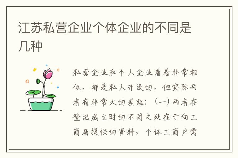 江苏私营企业个体企业的不同是几种
