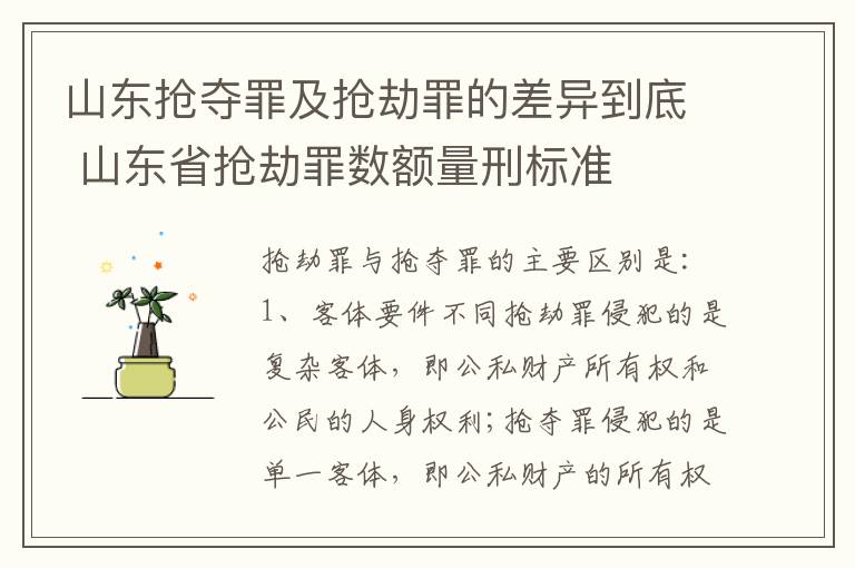 山东抢夺罪及抢劫罪的差异到底 山东省抢劫罪数额量刑标准