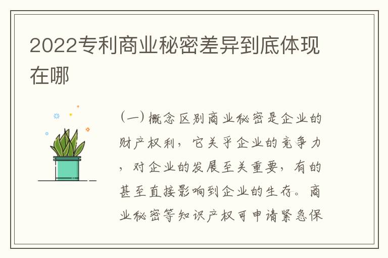 2022专利商业秘密差异到底体现在哪