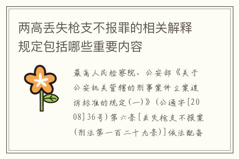 两高丢失枪支不报罪的相关解释规定包括哪些重要内容
