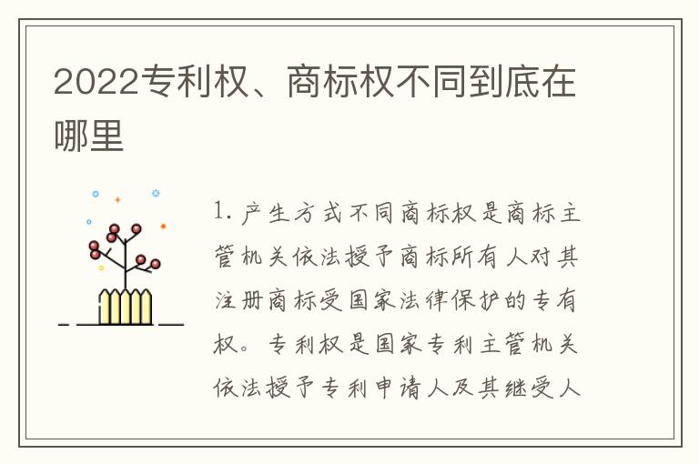 2022专利权、商标权不同到底在哪里
