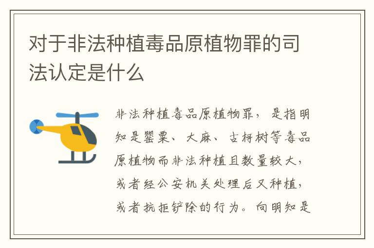 对于非法种植毒品原植物罪的司法认定是什么