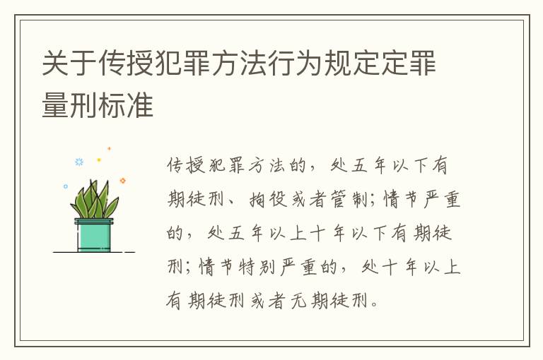 关于传授犯罪方法行为规定定罪量刑标准
