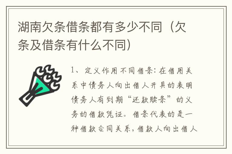 湖南欠条借条都有多少不同（欠条及借条有什么不同）