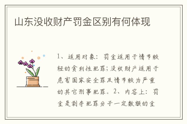 山东没收财产罚金区别有何体现