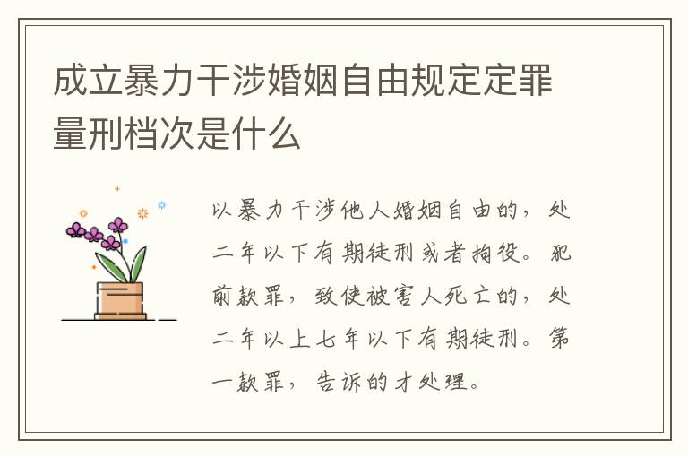 成立暴力干涉婚姻自由规定定罪量刑档次是什么