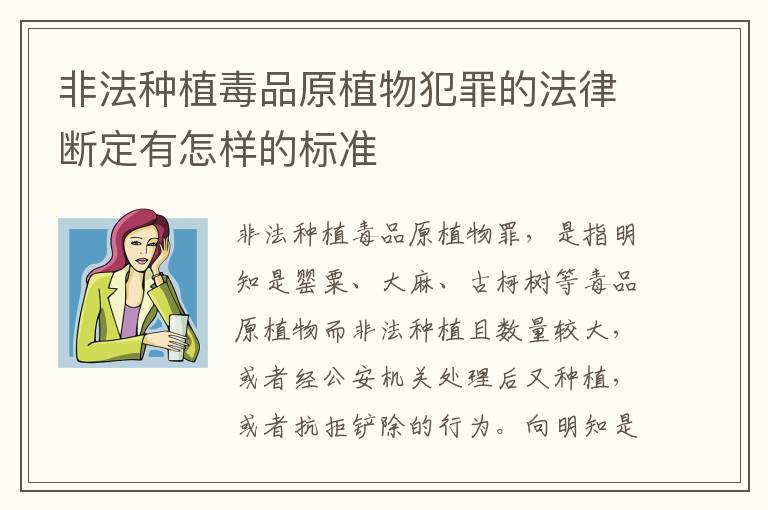 非法种植毒品原植物犯罪的法律断定有怎样的标准