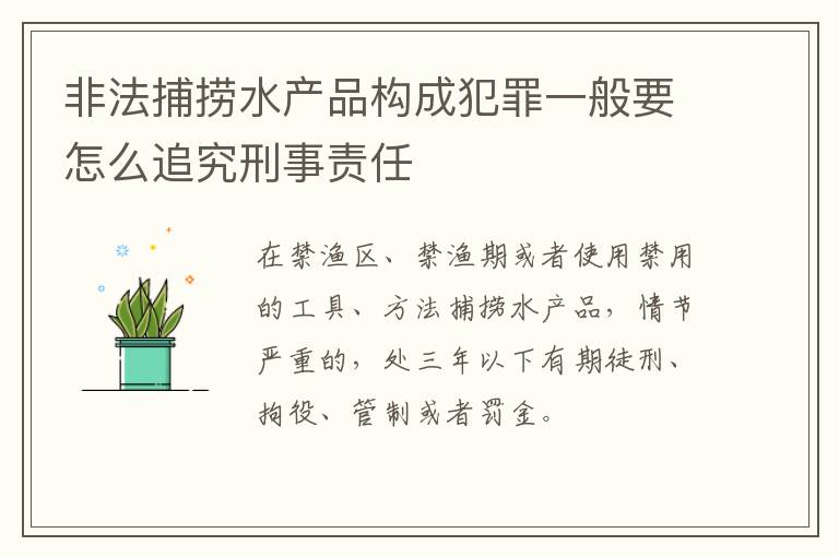 非法捕捞水产品构成犯罪一般要怎么追究刑事责任