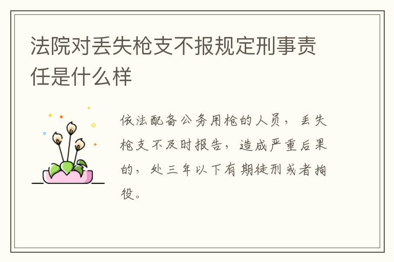 法院对丢失枪支不报规定刑事责任是什么样