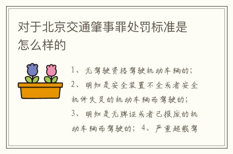 对于北京交通肇事罪处罚标准是怎么样的