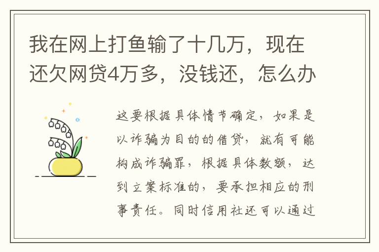 我在网上打鱼输了十几万，现在还欠网贷4万多，没钱还，怎么办
