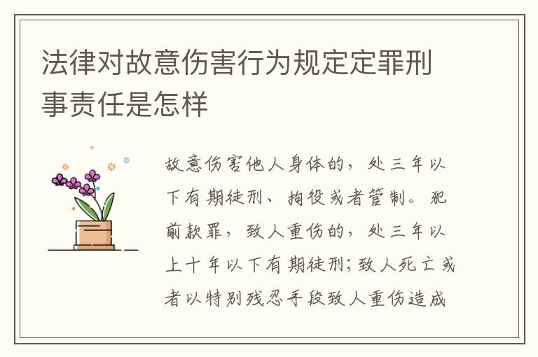 法律对故意伤害行为规定定罪刑事责任是怎样
