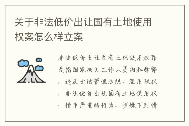 关于非法低价出让国有土地使用权案怎么样立案