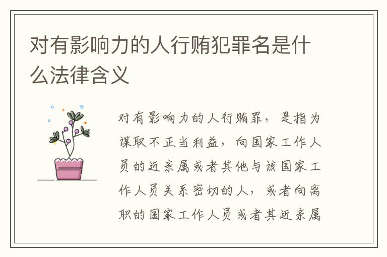 对有影响力的人行贿犯罪名是什么法律含义