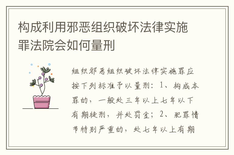 构成利用邪恶组织破坏法律实施罪法院会如何量刑