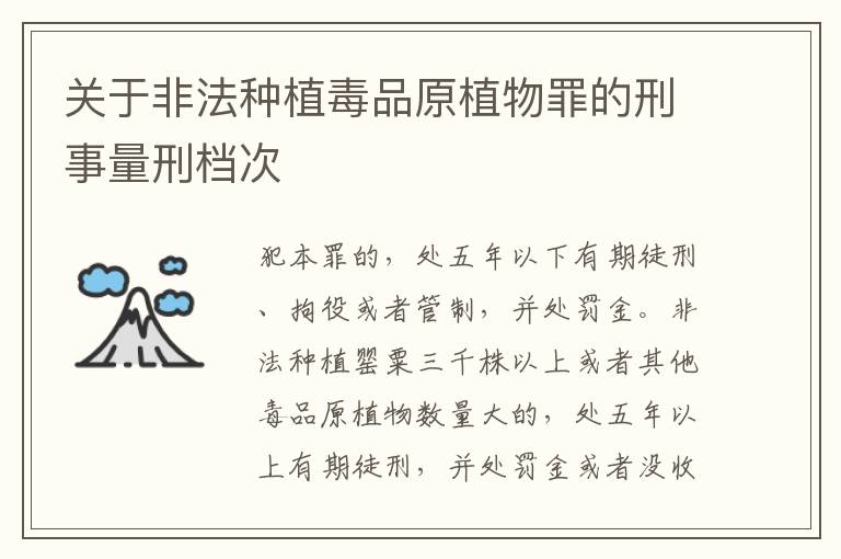 关于非法种植毒品原植物罪的刑事量刑档次