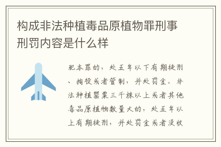 构成非法种植毒品原植物罪刑事刑罚内容是什么样