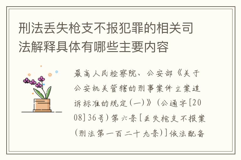 刑法丢失枪支不报犯罪的相关司法解释具体有哪些主要内容