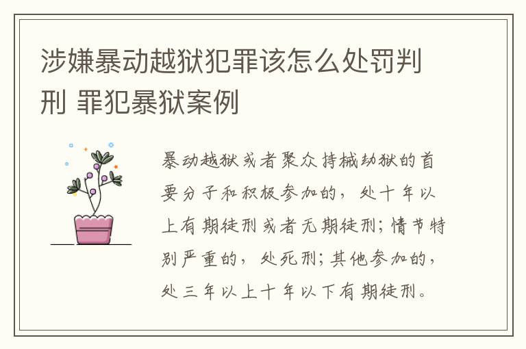涉嫌暴动越狱犯罪该怎么处罚判刑 罪犯暴狱案例