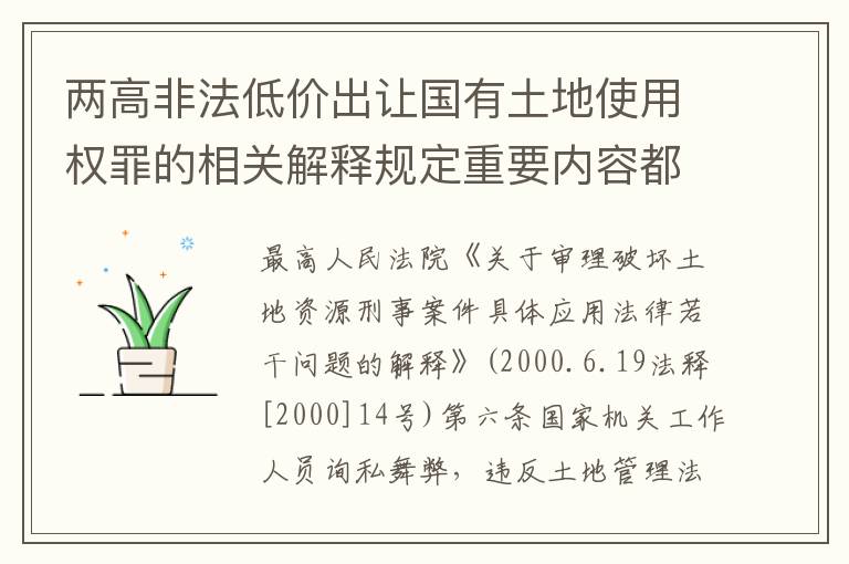 两高非法低价出让国有土地使用权罪的相关解释规定重要内容都有哪些