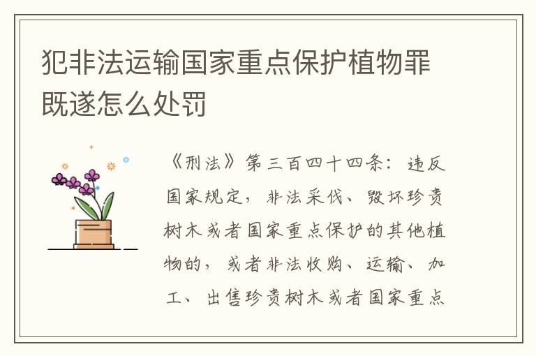 犯非法运输国家重点保护植物罪既遂怎么处罚