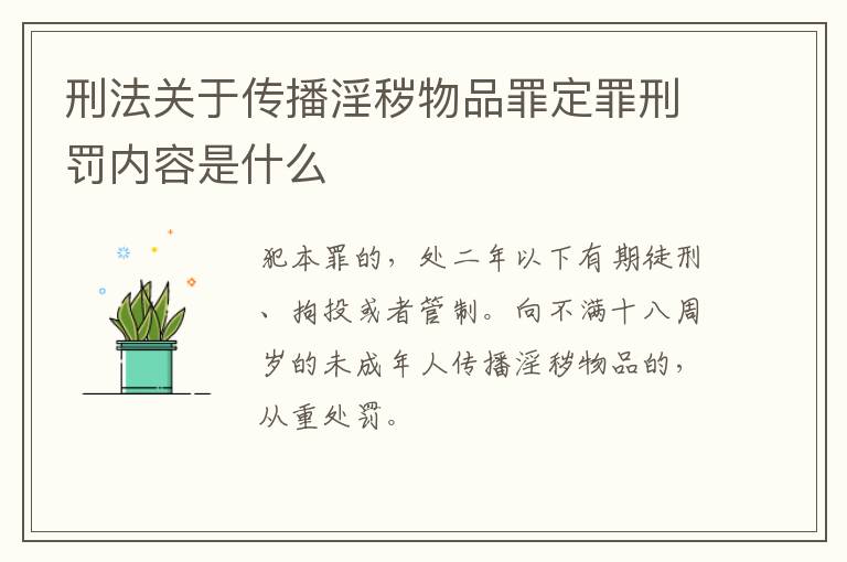 刑法关于传播淫秽物品罪定罪刑罚内容是什么