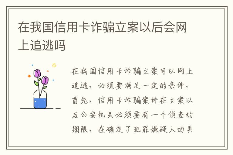 在我国信用卡诈骗立案以后会网上追逃吗